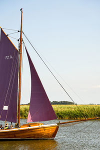 Sailboats sailing on river against clear sky