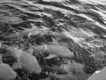 Full frame shot of sea