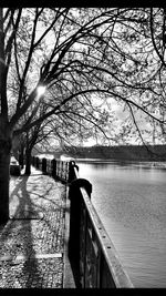 Rear view of man on bare tree against sky