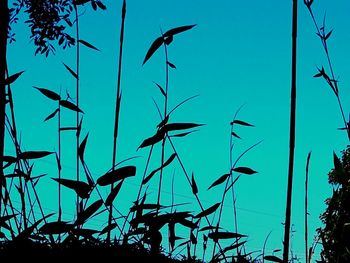 Low angle view of blue sky