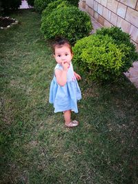 High angle portrait of baby girl standing on grassy field