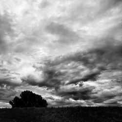 Trees on field against cloudy sky