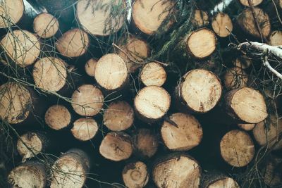 Full frame shot of logs