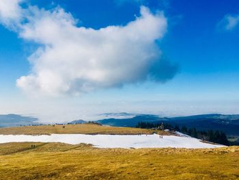 Scenic view of landscape against blue sky