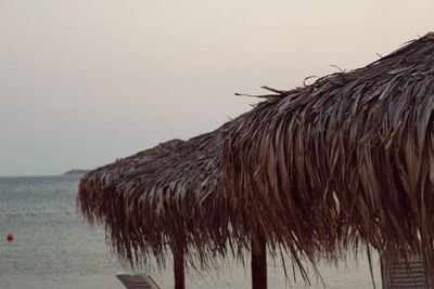 View of horse on beach against sky