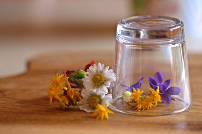 Close-up of flowers in glass jar on table