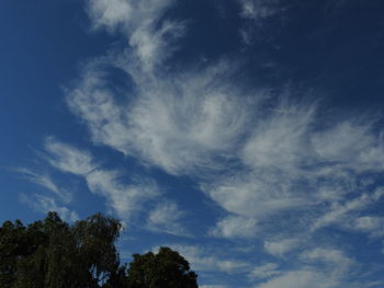 Low angle view of trees against blue sky