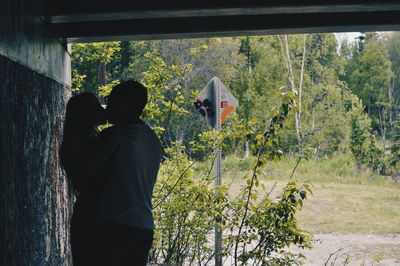 Plants growing on tree trunk