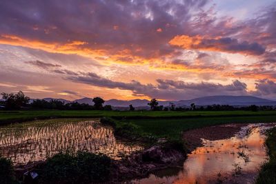 Scenic view of calm lake against cloudy sky