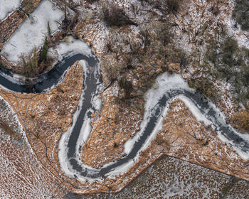 High angle view of a tree