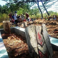 People relaxing on tree trunk