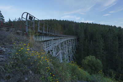 Plants growing on bridge in forest against sky