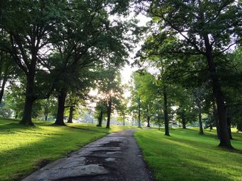 Pathway along trees in park