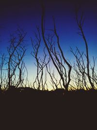 Silhouette bare tree against clear sky