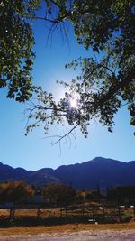 Scenic view of mountains against clear blue sky