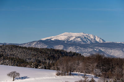 Snow field in a clearing with trees, forest and a view towards  the mountain schneeberg,austria