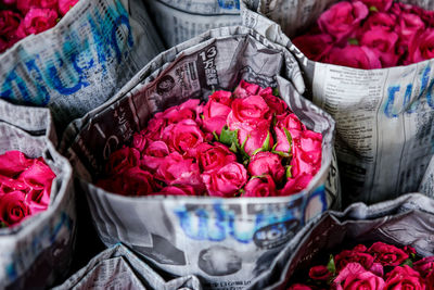 Close-up of pink roses on display at market stall