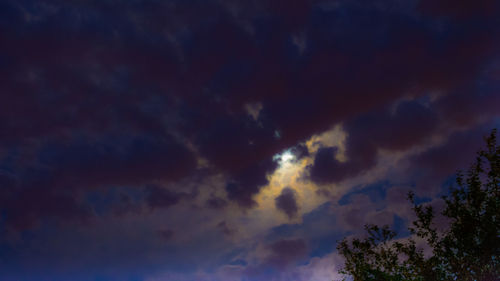 Low angle view of trees against dramatic sky