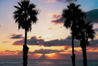 Silhouette palm tree by sea against sky during sunset