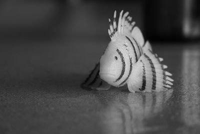 Close-up of stuffed toy on table