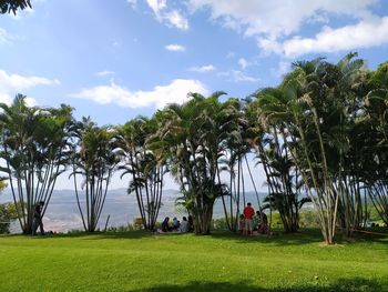 Palm trees on field against sky