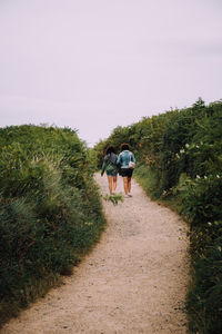 Rear view of people walking on footpath