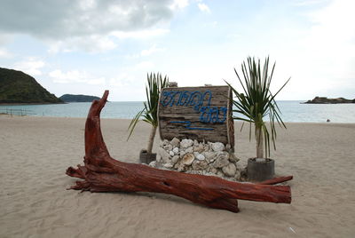 Driftwood on beach by sea against sky