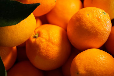 Close-up of orange