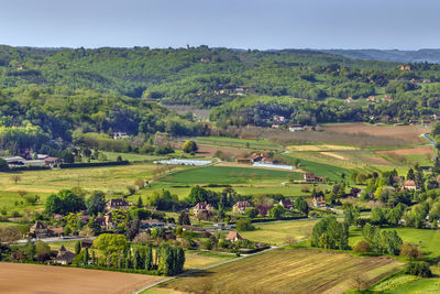 Scenic view of trees on field against sky