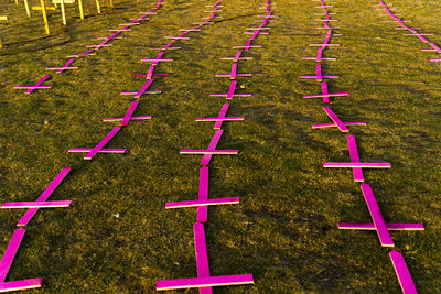 Crosses fixed to the ground in honor of those killed by covid-19. 