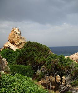 nature