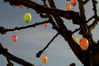Low angle view of easter eggs on tree against sky