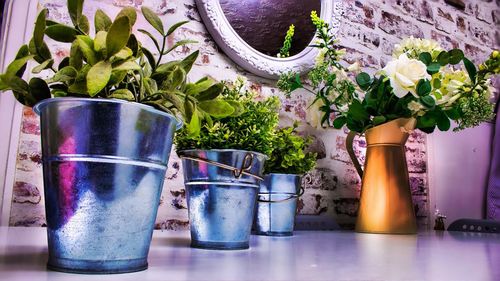 Close-up of potted plants on table