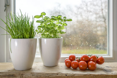 Close-up of tomatoes on table