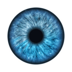 Close-up of blue eye over white background