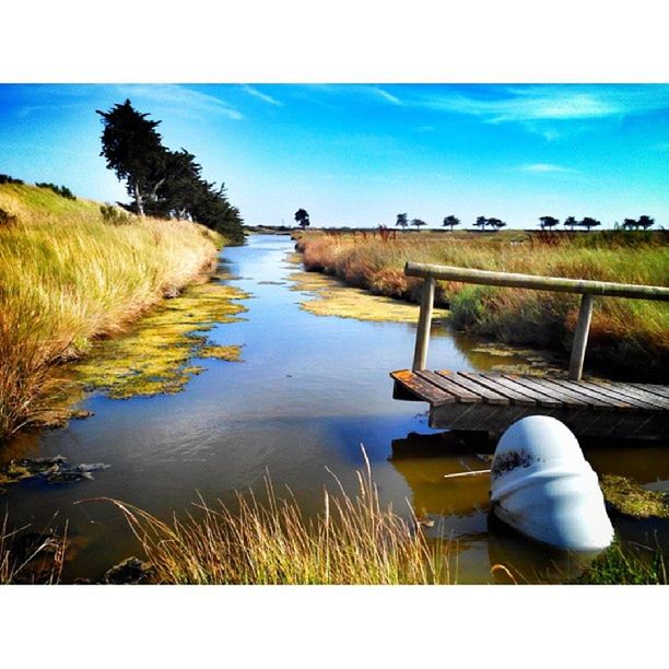 water, grass, lake, tranquility, transfer print, sky, tranquil scene, plant, auto post production filter, reflection, nature, transportation, scenics, growth, beauty in nature, field, tree, clear sky, mode of transport, boat