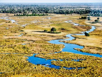 High angle view of lake and trees