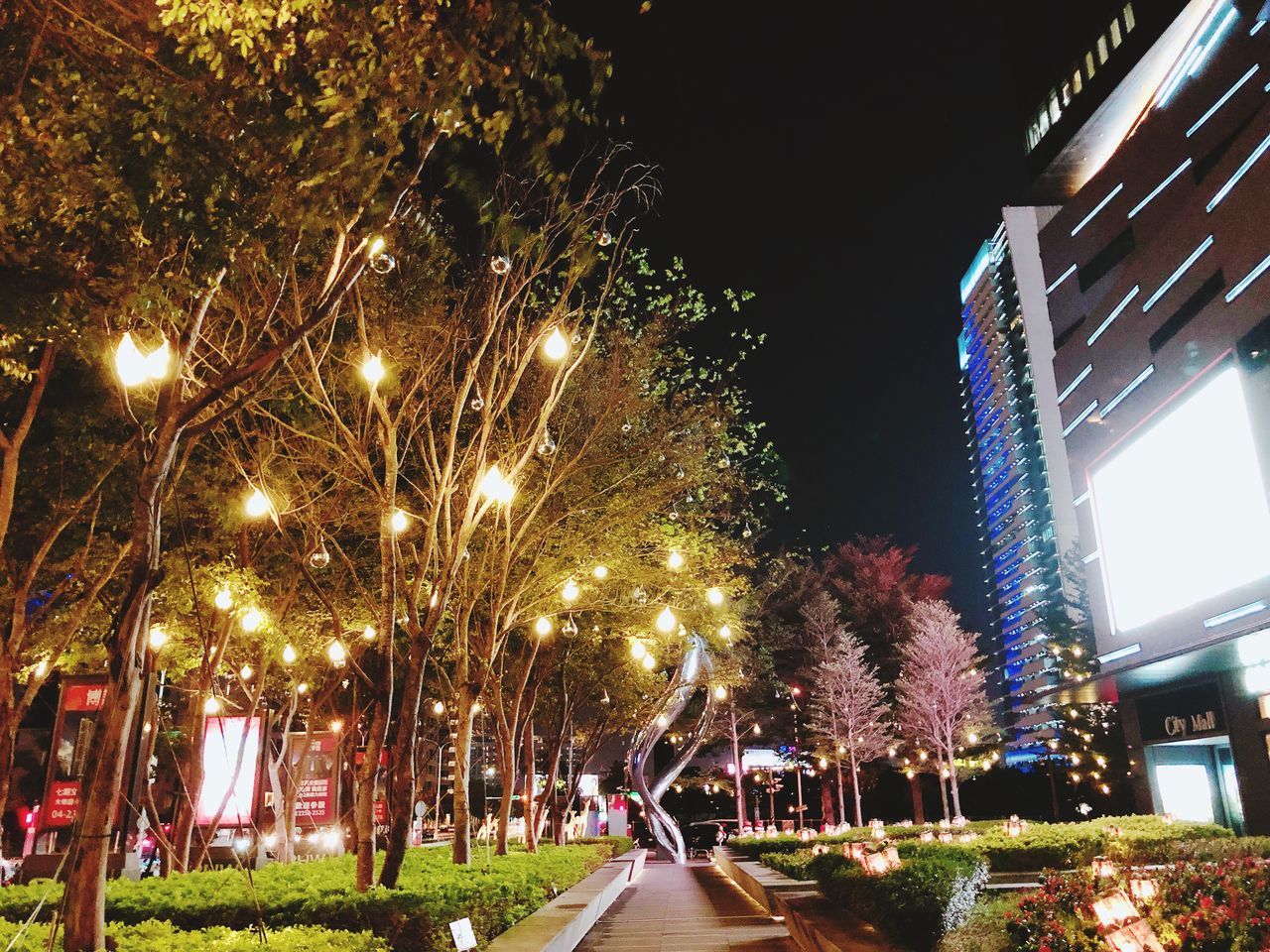 illuminated, night, tree, architecture, plant, city, built structure, building exterior, street, nature, lighting equipment, street light, no people, sky, celebration, glowing, outdoors, decoration, motion, light