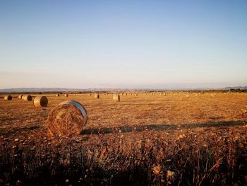 Hay bales on field against clear sky