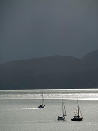 Boats sailing on sea against clear sky