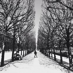 Snow covered trees in park