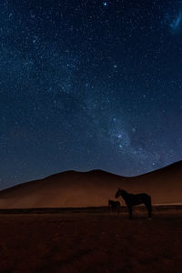 Silhouette man standing on field against sky at night