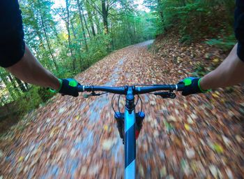 Person riding bicycle in forest