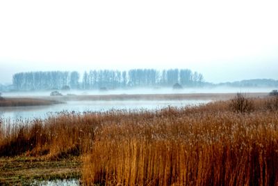 Scenic view of landscape against sky during winter