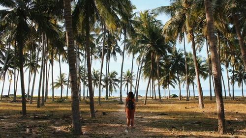 Man standing by palm trees on field