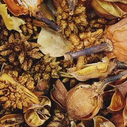 Full frame shot of dried leaves