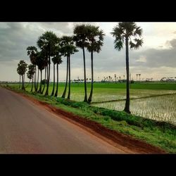 Road passing through field