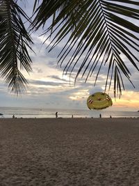 Scenic view of beach against sky during sunset