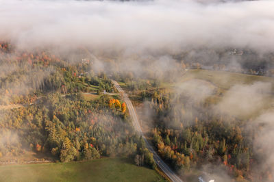 Drone photo through fluffy white clouds to a road in the forest. foggy autumn landscape
