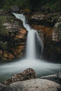 Scenic view of waterfall in forest